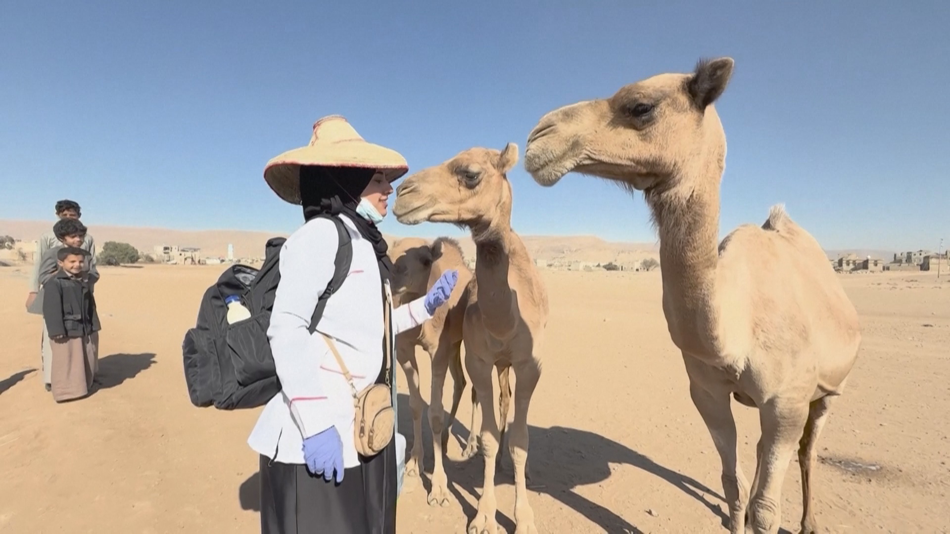 Жительница Йемена оказывает бесплатную ветеринарную помощь в деревнях Жительница Йемена оказывает бесплатную ветеринарную помощь в деревнях