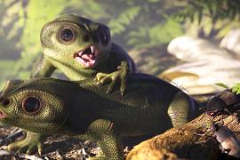 Самого молодого ринхозавра из когда-либо найденных обнаружили в Бразилии