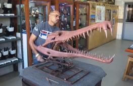 Кости древнего крокодила восполнили пробел в истории существования жив