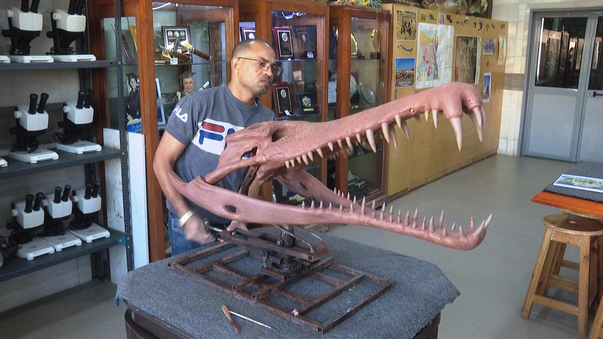 Кости древнего крокодила восполнили пробел в истории существования жив