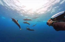 Чудеса подводного мира, раскрытые в 2025 году