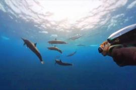 Чудеса подводного мира, раскрытые в 2025 году