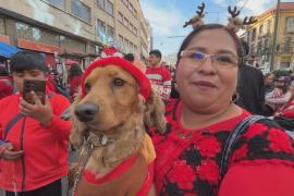 Рождественский парад с четвероногими питомцами прошёл в Боливии