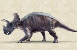 Учёные доказали, что рогатые динозавры обитали в Европе в меловой период