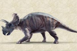 Учёные доказали, что рогатые динозавры обитали в Европе в меловой период