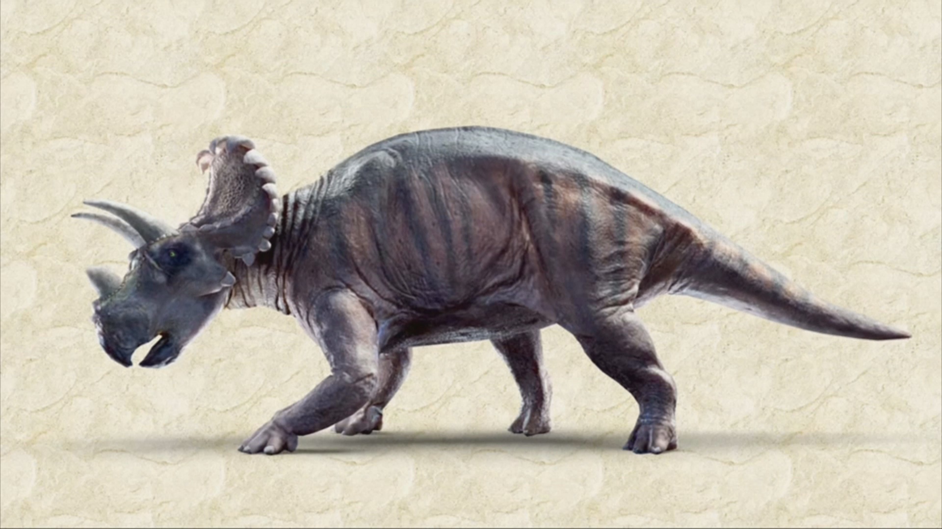 Учёные доказали, что рогатые динозавры обитали в Европе в меловой период Учёные доказали, что рогатые динозавры обитали в Европе в меловой период