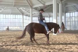 Представители конного спорта в Китае надеются на бум в год Лошади