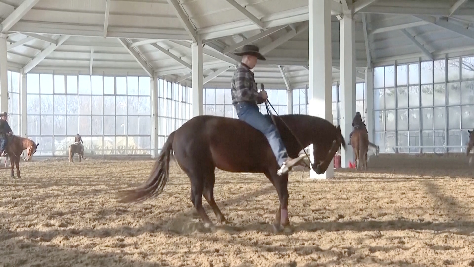 Представители конного спорта в Китае надеются на бум в год Лошади