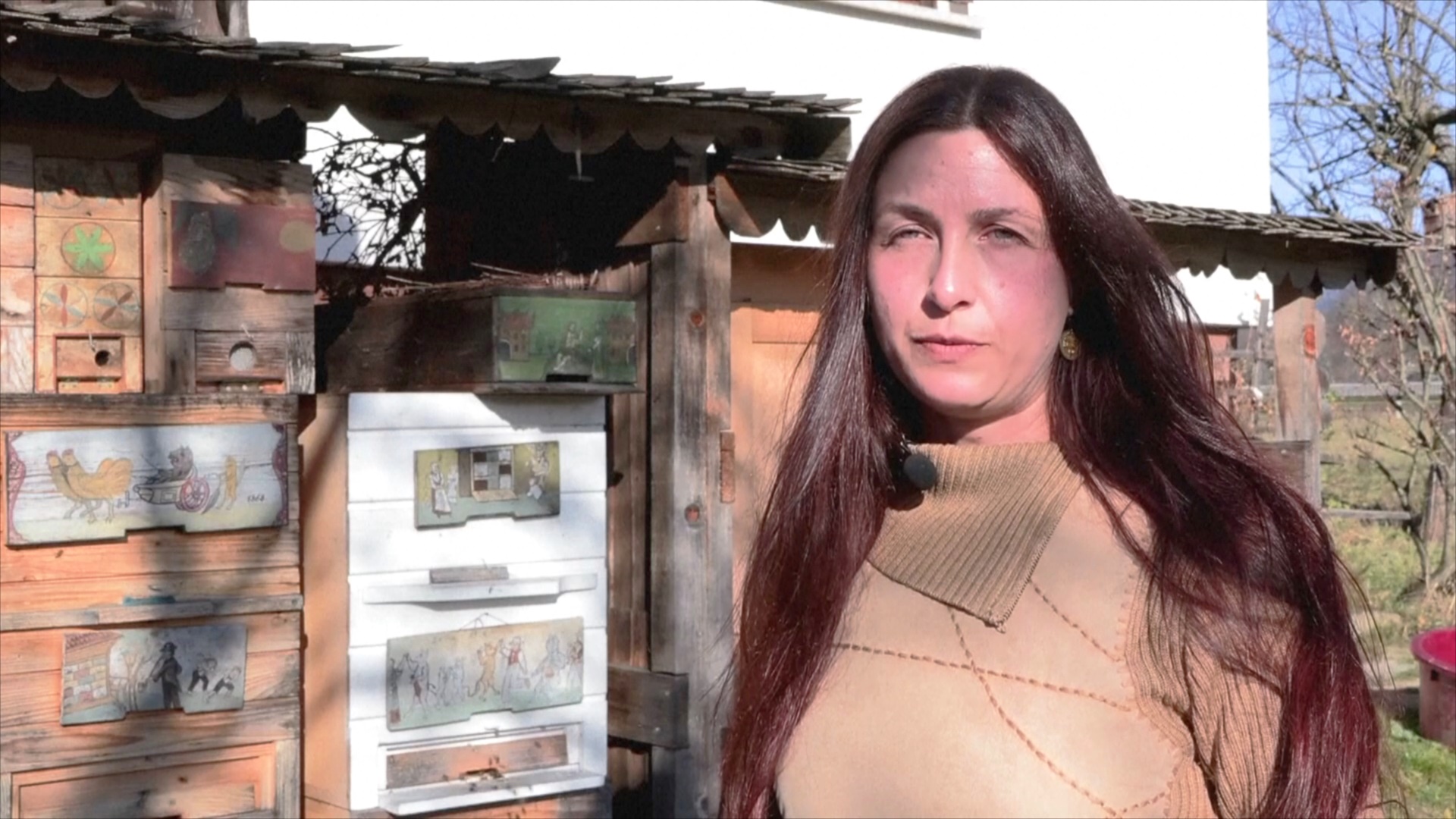 Ульи как искусство: в Словении художница вдыхает жизнь в старинную традицию