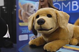 Милые роботы-компаньоны – среди ИИ-гаджетов на выставке CES в Лас-Вегасе