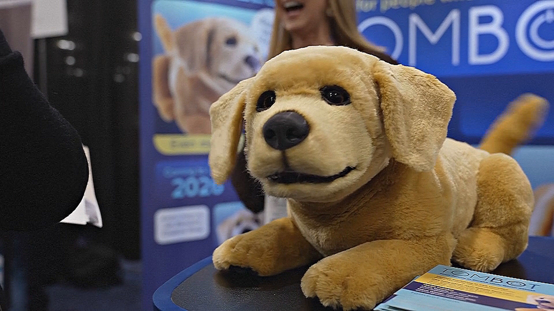 Милые роботы-компаньоны – среди ИИ-гаджетов на выставке CES в Лас-Вегасе