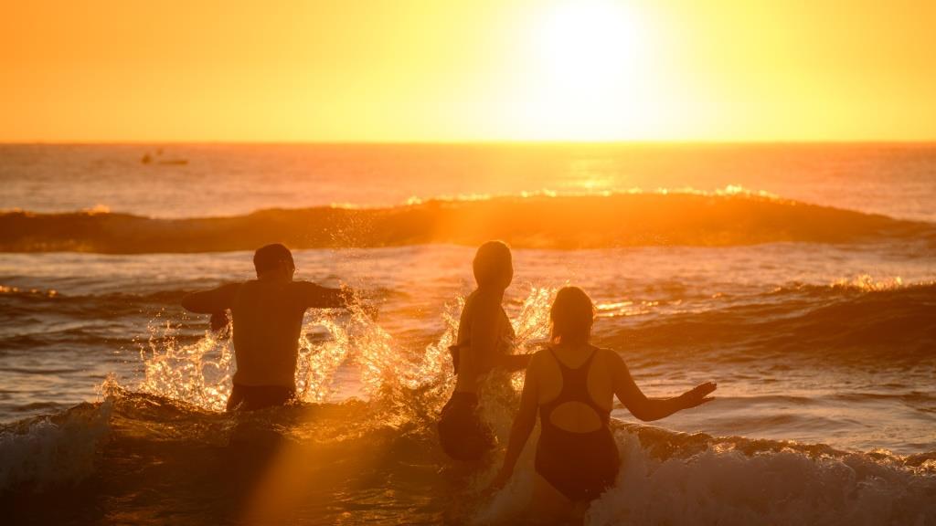 Австралию охватила худшая жара со времён «Чёрного лета» Австралию охватила худшая жара со времён «Чёрного лета»