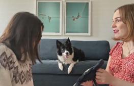 Собаки могут подслушивать и запоминать названия новых предметов