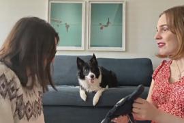 Собаки могут подслушивать и запоминать названия новых предметов