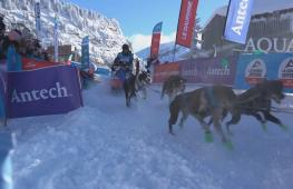 Самая сложная в Европе гонка на собачьих упряжках проходит в Альпах