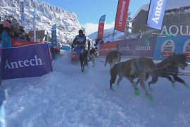 Самая сложная в Европе гонка на собачьих упряжках проходит в Альпах