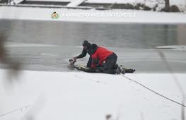 В Будапеште спасатели вытащили собаку из покрытого льдом Дуная
