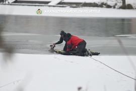 В Будапеште спасатели вытащили собаку из покрытого льдом Дуная