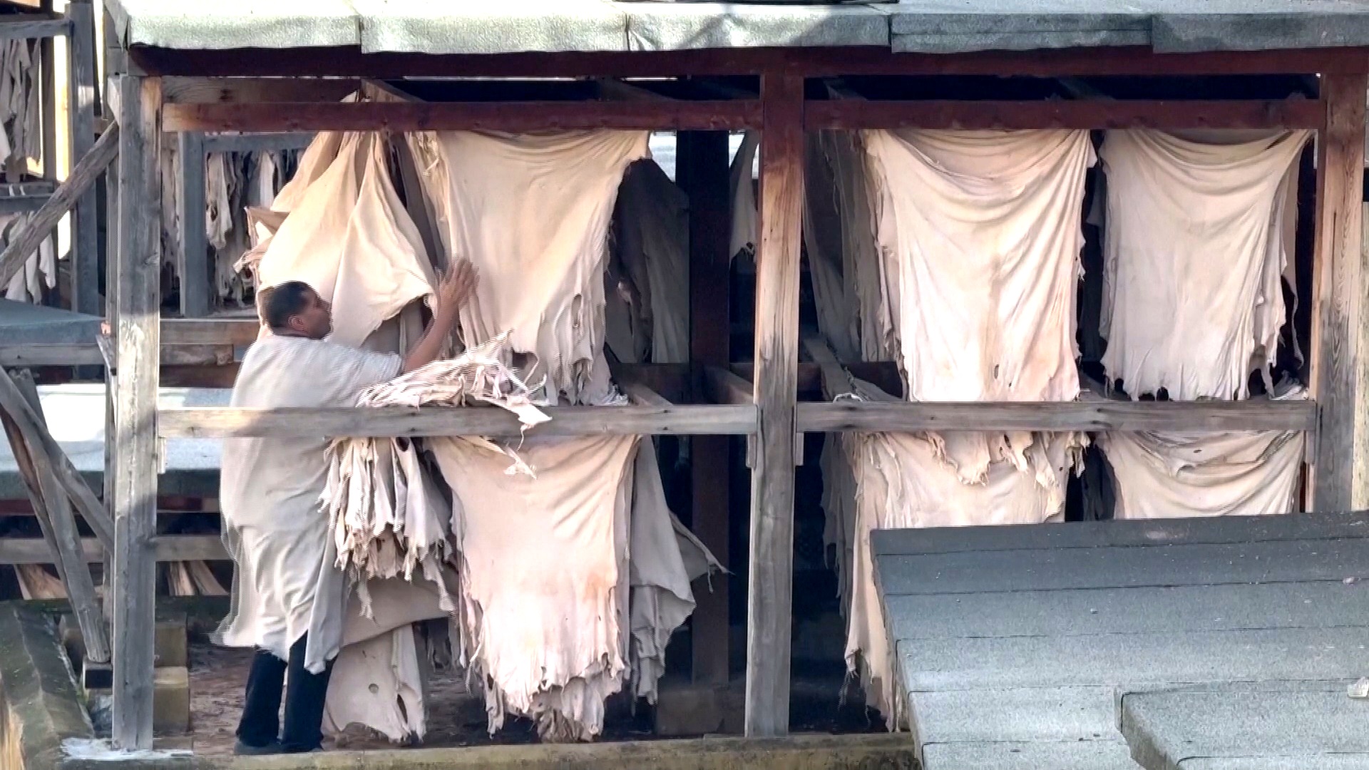 Кожевенный завод в марокканском Фесе сохраняет традиции старинного ремесла