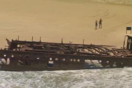 Тело канадской туристки нашли на австралийском острове в окружении динго