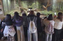 Японцы с грустью прощаются с пандами в зоопарке в Токио