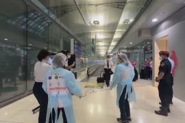 В Азии усиливают санитарный контроль в аэропортах из-за вспышки вируса Нипах в Индии