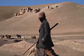 Спасут ли Афганистан от шестилетней засухи снег и дождь