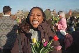 В Амстердаме людям раздали 200 000 тюльпанов