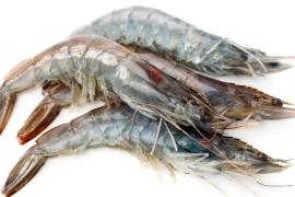 Свежие креветки с доставкой на дом: удобство, которое невозможно не оценить