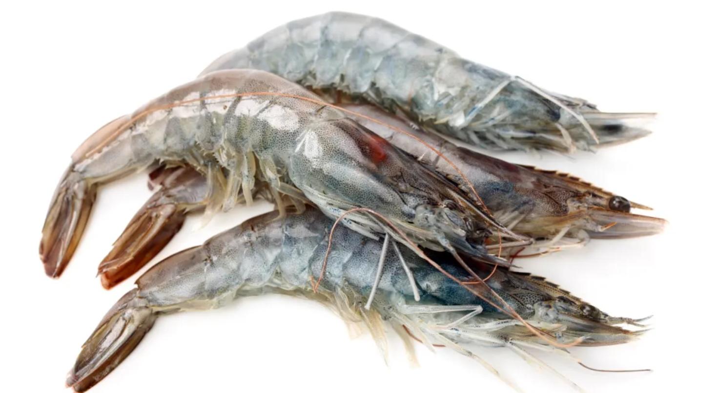 Свежие креветки с доставкой на дом: удобство, которое невозможно не оценить