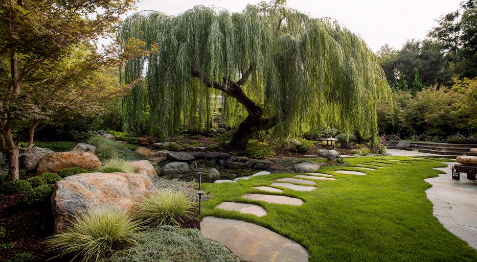 Ландшафтный дизайн: как стать востребованным специалистом онлайн