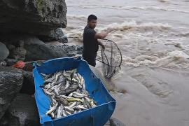 Колумбийцы массово выходят на рыбалку в сезон миграции рыбы