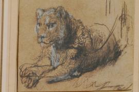 Этюд со львом Рембрандта рассчитывают продать за $15-20 млн