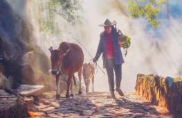 Красота природы и гуманизм: международный фотоконкурс NTD прошёл в Нью-Йорке