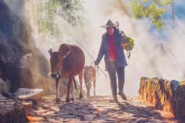 Красота природы и гуманизм: международный фотоконкурс NTD прошёл в Нью-Йорке