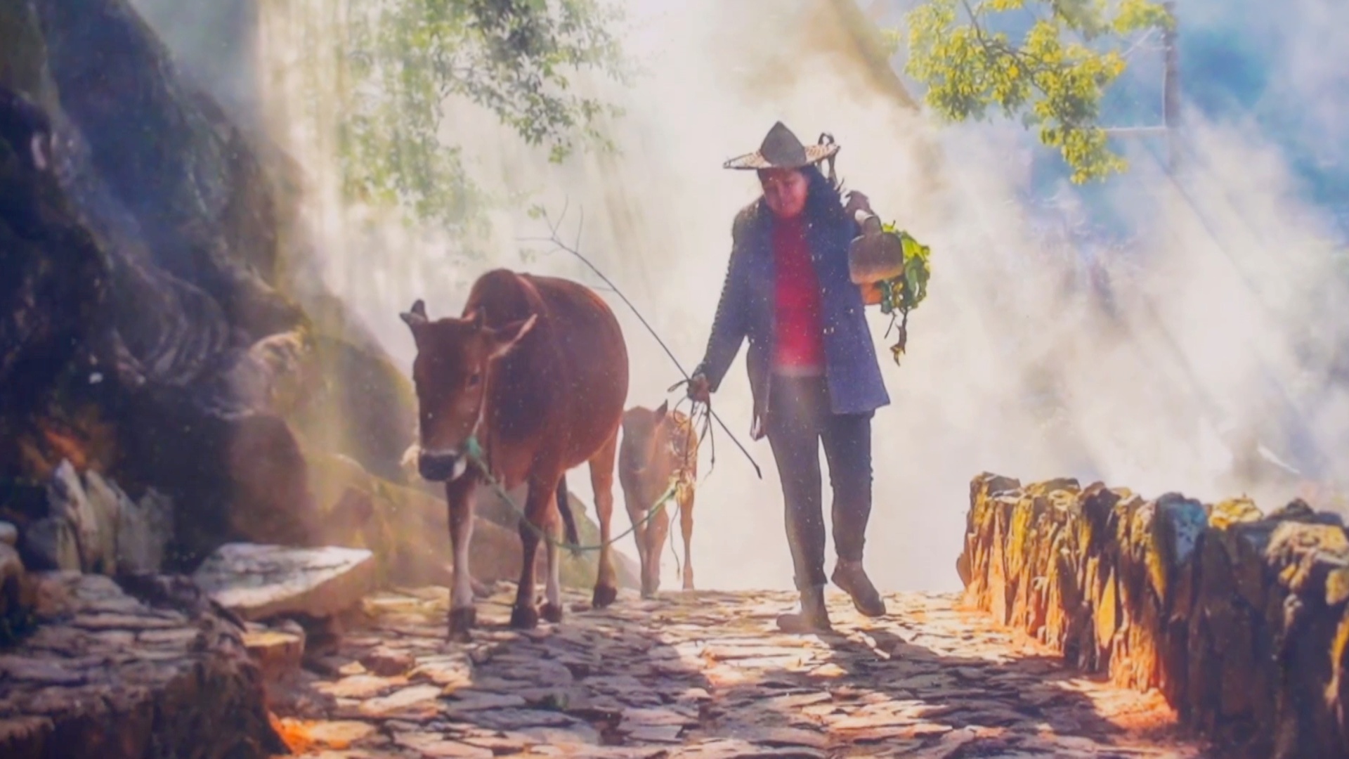 Красота природы и гуманизм: международный фотоконкурс NTD прошёл в Нью-Йорке