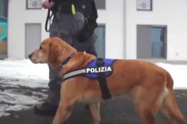 Как в Италии будут обеспечивать безопасность на Олимпиаде-2026