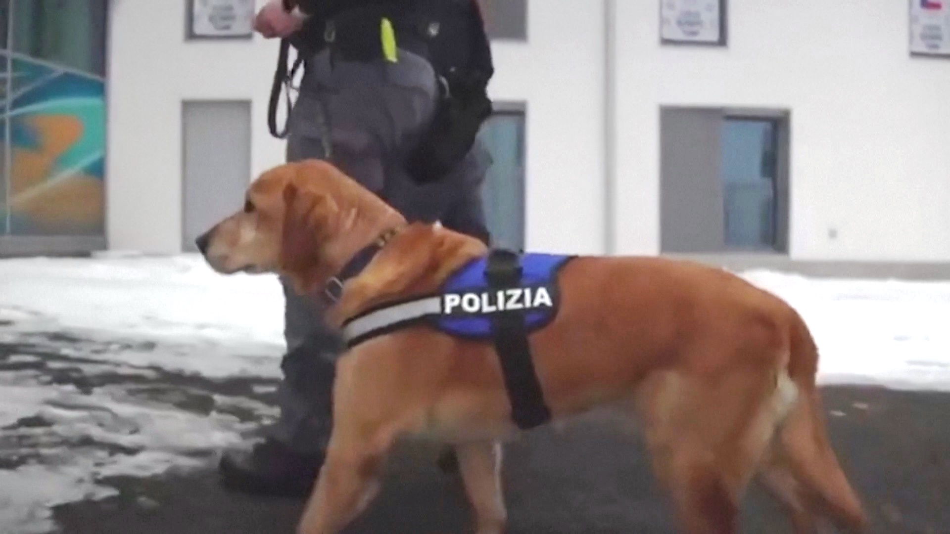 Как в Италии будут обеспечивать безопасность на Олимпиаде-2026 Как в Италии будут обеспечивать безопасность на Олимпиаде-2026