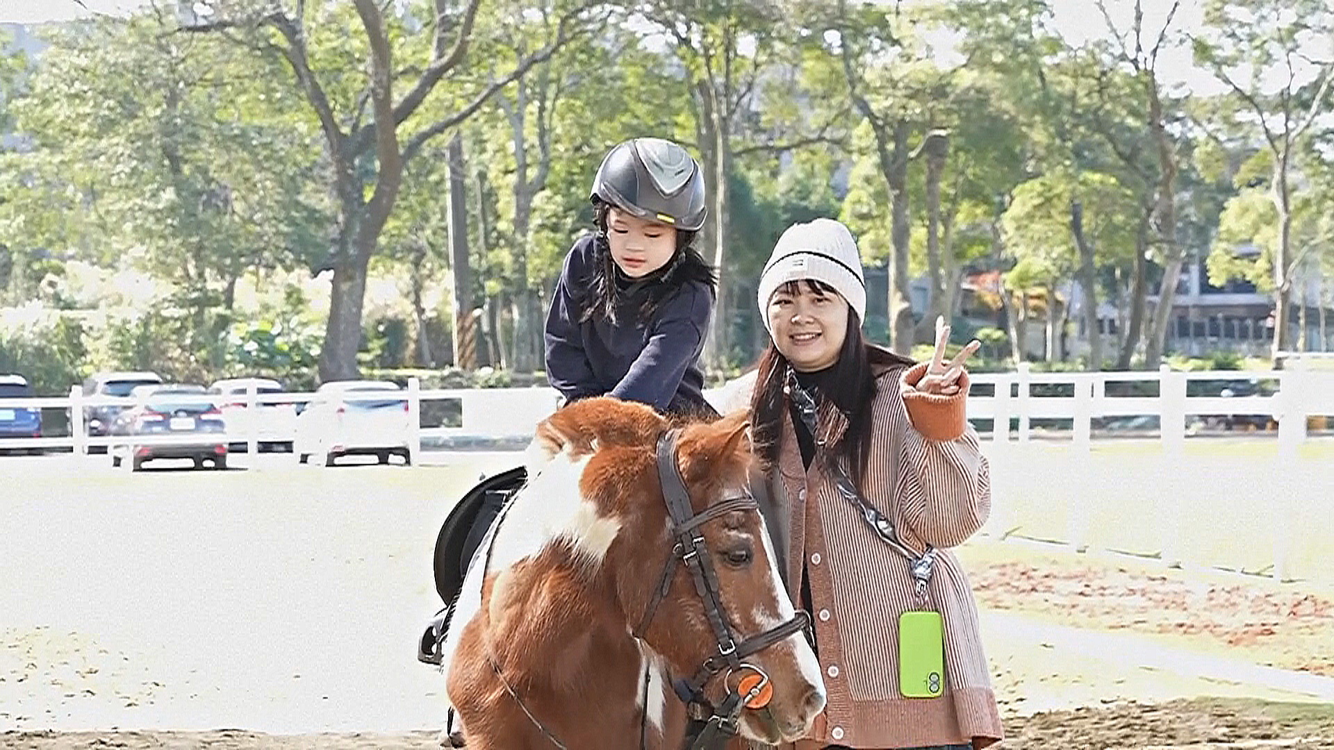 Лошади стали популярными терапевтами на Тайване в преддверии Года Лошади