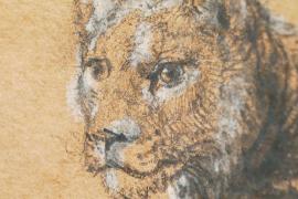 Почти $18 млн отдали за редкий рисунок льва Рембрандта на аукционе в Нью-Йорке