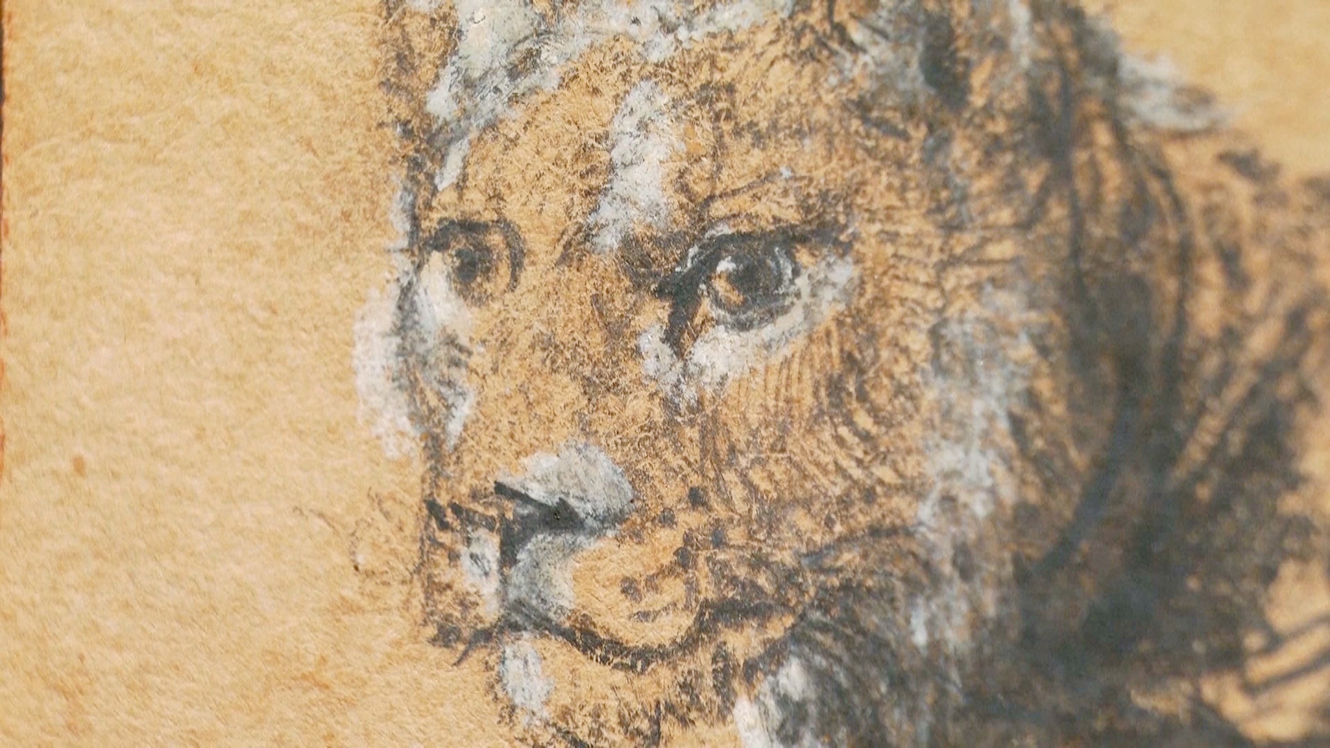 Почти $18 млн отдали за редкий рисунок льва Рембрандта на аукционе в Нью-Йорке