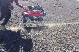 Робот-собака поднимается на Этну «вынюхивать» вулканические газы