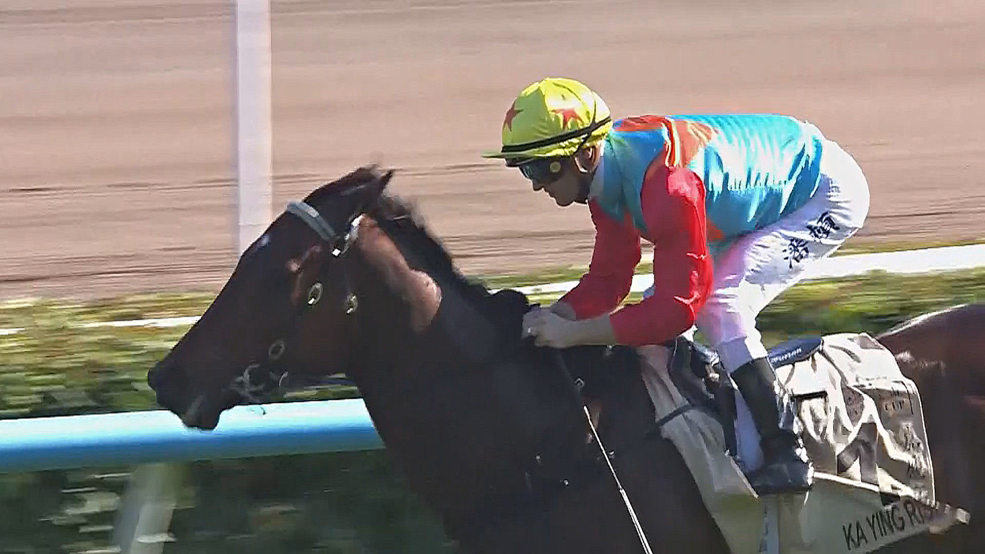 В Гонконге к году Лошади появилась звезда скачек