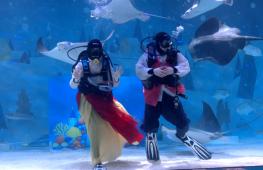 Подводный спектакль провели в честь лунного Нового года в океанариуме Сеула