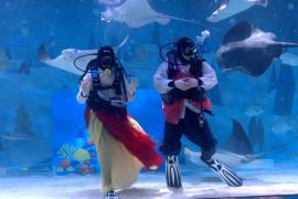 Подводный спектакль провели в честь лунного Нового года в океанариуме Сеула