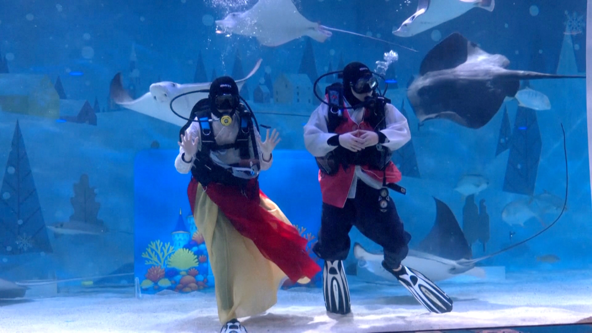 Подводный спектакль провели в честь лунного Нового года в океанариуме Сеула