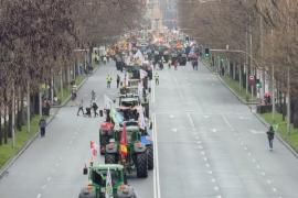 500 тракторов парализовали движение в Мадриде в ходе протеста против сделки ЕС-Меркосур