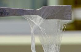 Экологичный пластик из конского навоза решили делать в Великобритании