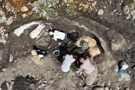 Окаменелости гигантского ленивца и мастодонта нашли в Коста-Рике