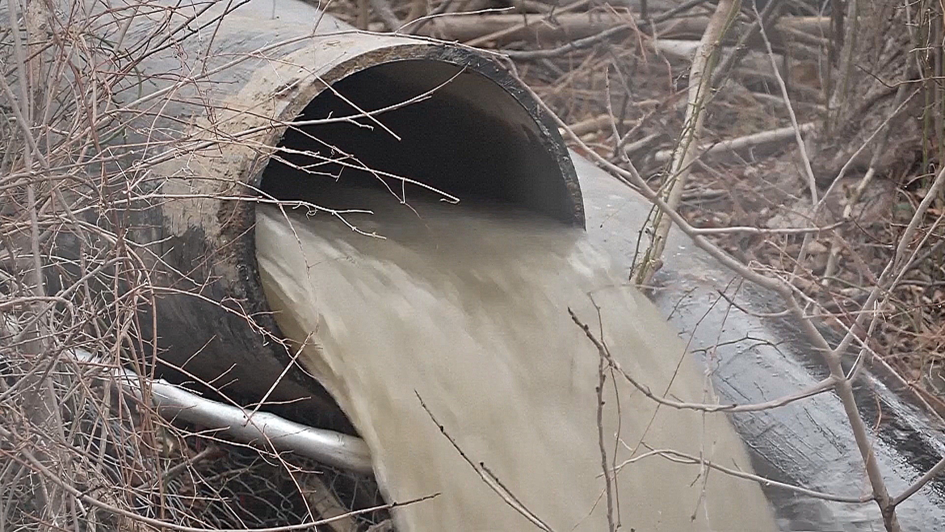 Белый дом: Трамп готов защитить реку Потомак после крупного разлива сточных вод Белый дом: Трамп готов защитить реку Потомак после крупного разлива сточных вод